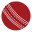 Stitched Cricket Balls