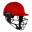 Cricket Helmet